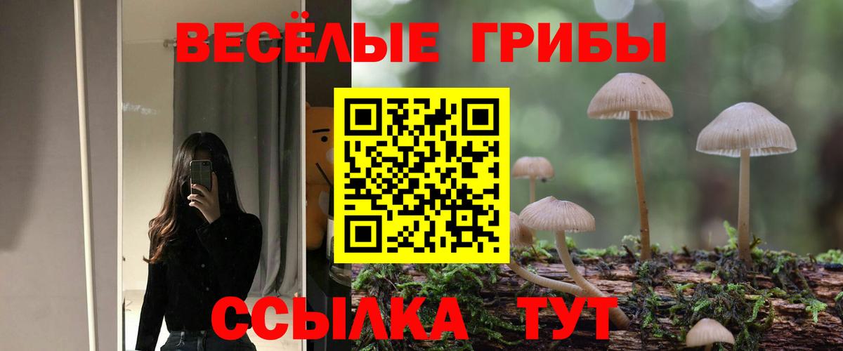 Коммунар  Псилоцибиновые грибы мицелий  Вход с VPN 